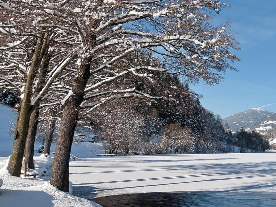 Immediate Surroundings [winter] (<1 km)