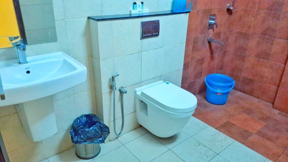 Deluxe Double Room | Bathroom | Soap, shampoo, toilet paper