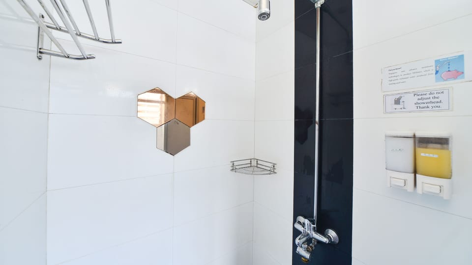 Shower, free toiletries, bidet, towels