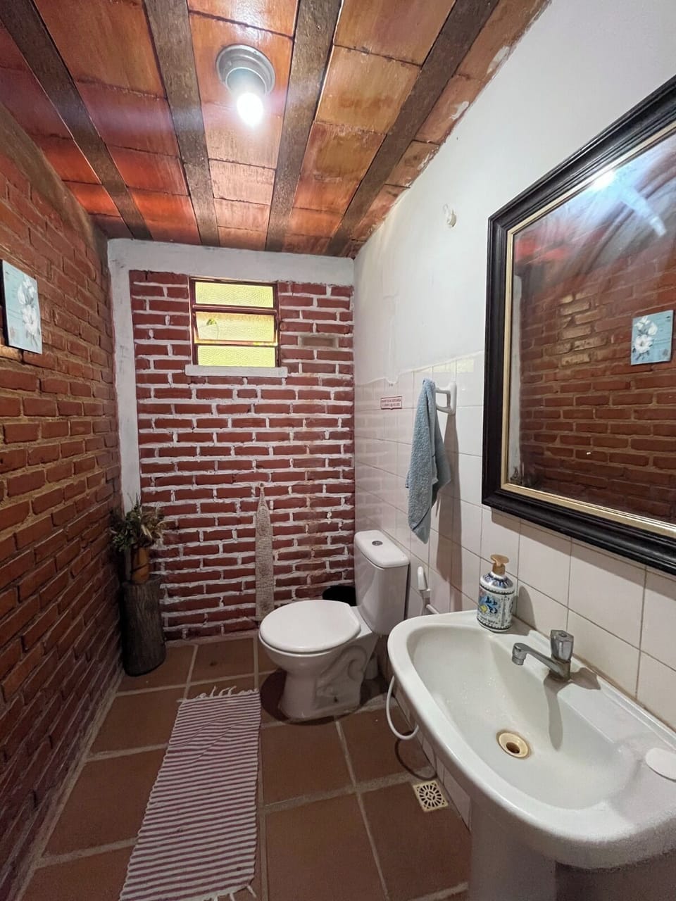 Shower, towels, soap, toilet paper