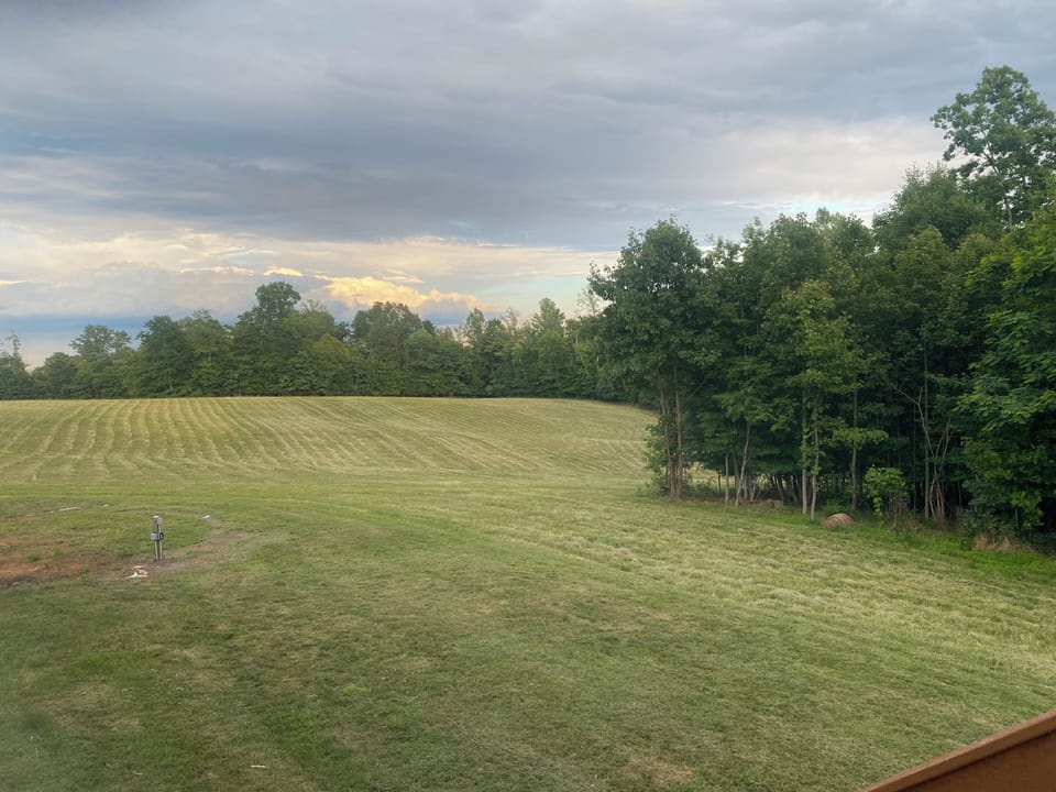 View from property