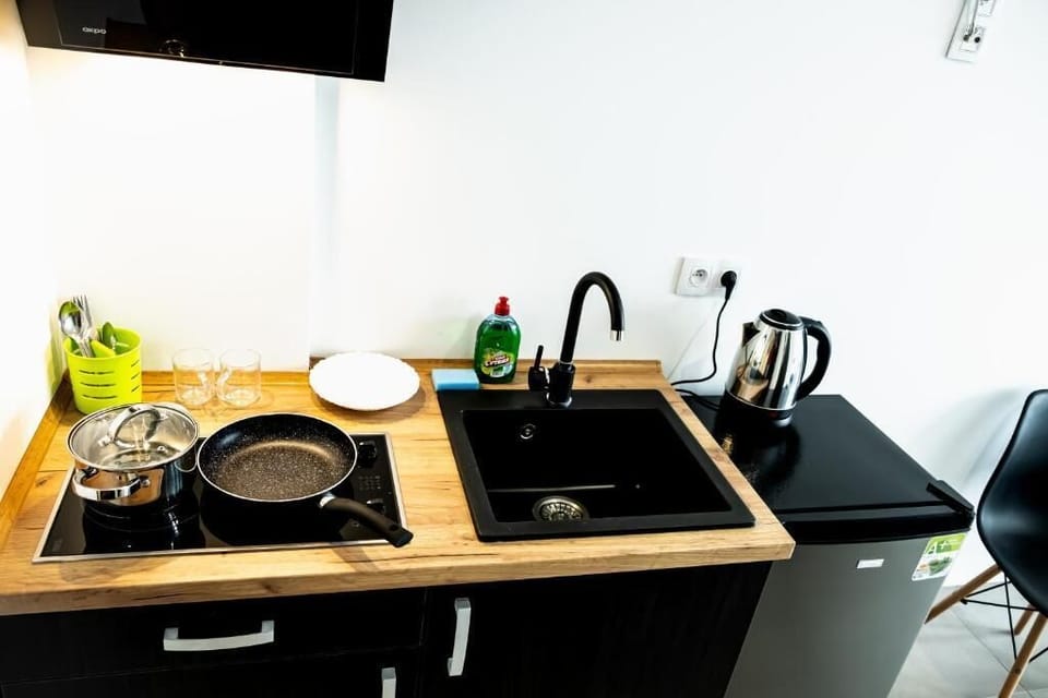 Fridge, stovetop, cookware/dishes/utensils