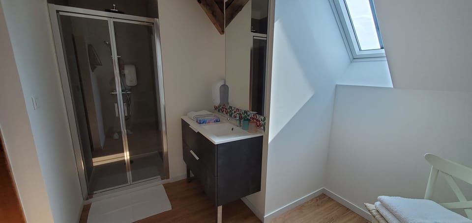 Chambre Louis | Bathroom | Shower, free toiletries, hair dryer, towels