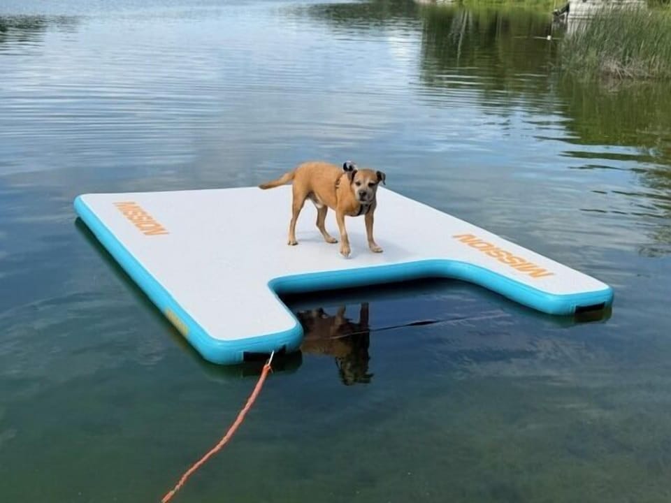 Pet-friendly