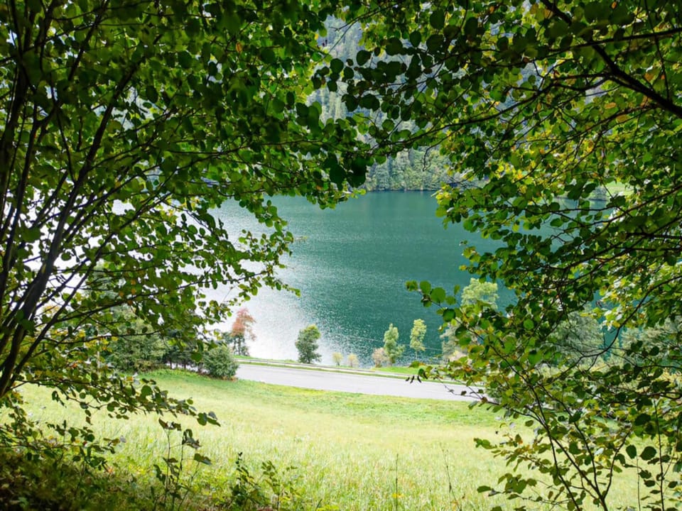 Immediate Surroundings [summer] (<1 km)