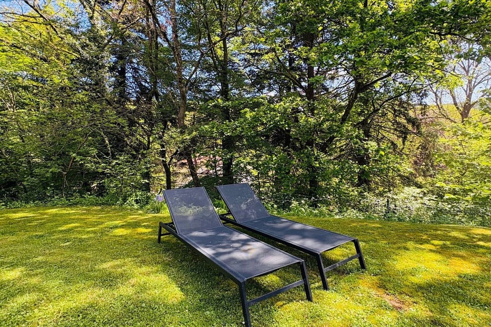 Garden [summer]