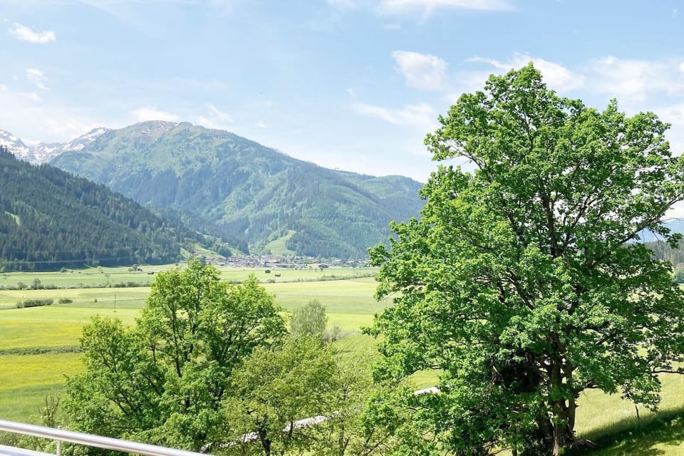 View from Holiday Home [summer]