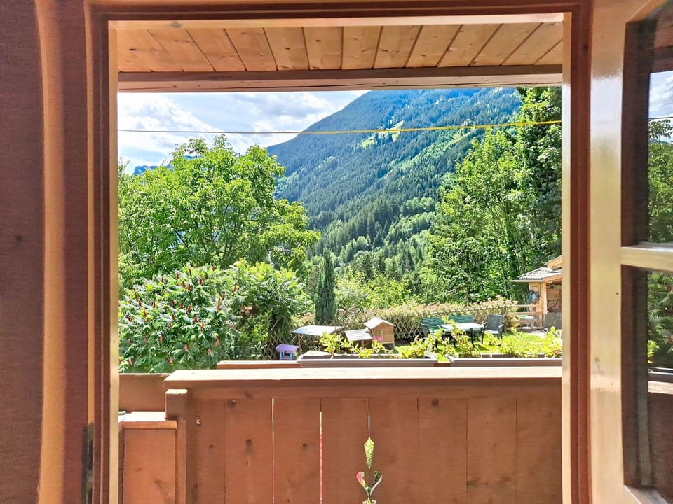 Wood, Wood Stain, Hardwood, Eco Hotel, Shade, Varnish, Plank, Houseplant, Plywood