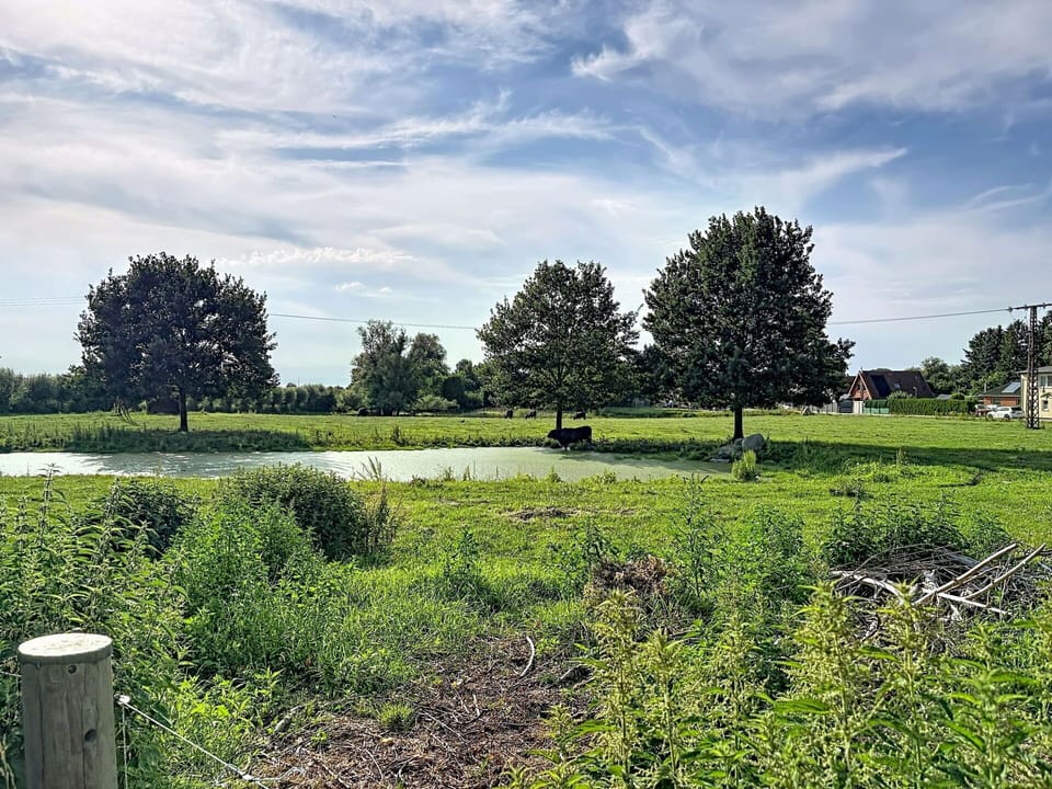 Sky, Grass, Tree, Natural Environment, Nature, Green, Natural Landscape, Vegetation, Cloud