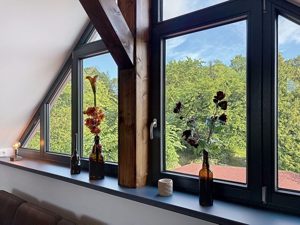 Wood, Glass, Sunlight, Hardwood, Daylighting, Natural Material, Eco Hotel, Wood Stain, Shade, Varnish