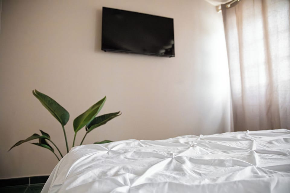 Comfort Single Room, Patio, Sea View | Down comforters, blackout drapes, iron/ironing board (on request)