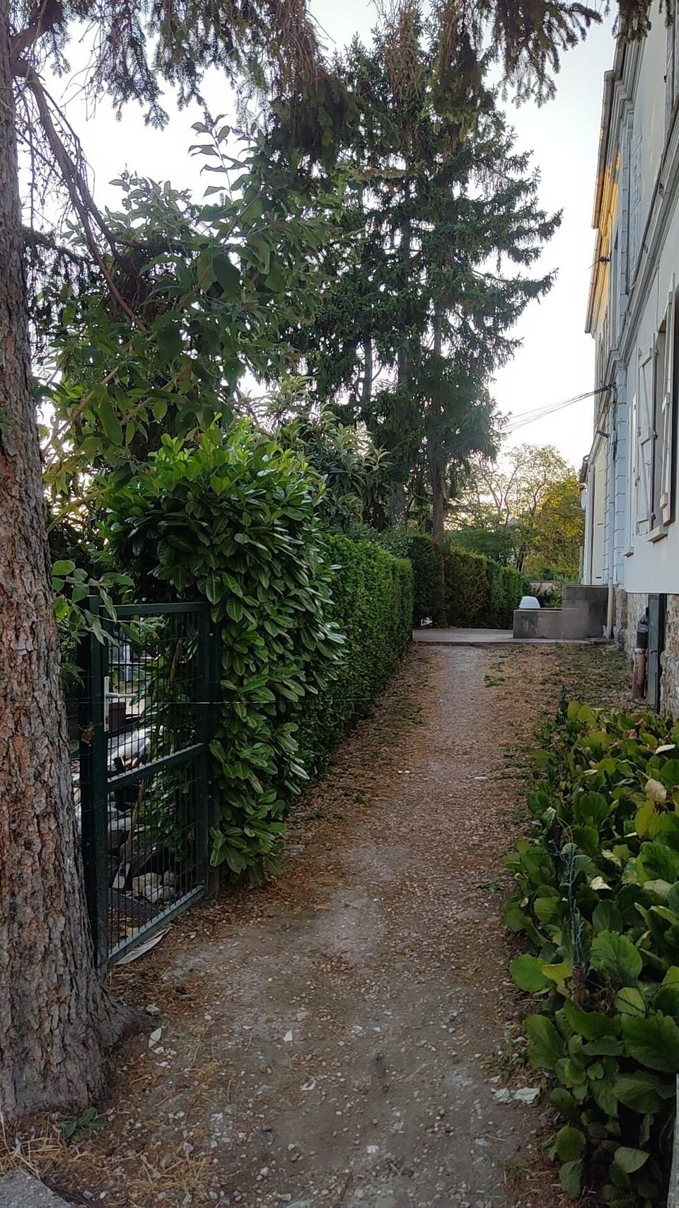 Property grounds