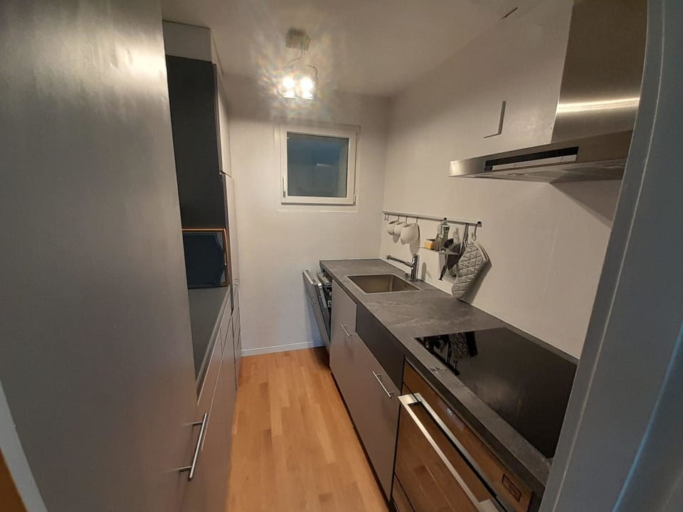 Fridge, oven, dishwasher, cookware/dishes/utensils