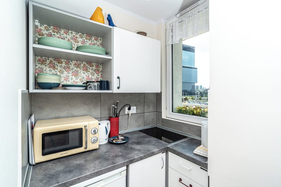 Studio, Balcony, City View | Private kitchenette
