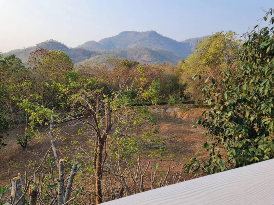 House, 2 Bedrooms, Balcony, Garden View | View from property