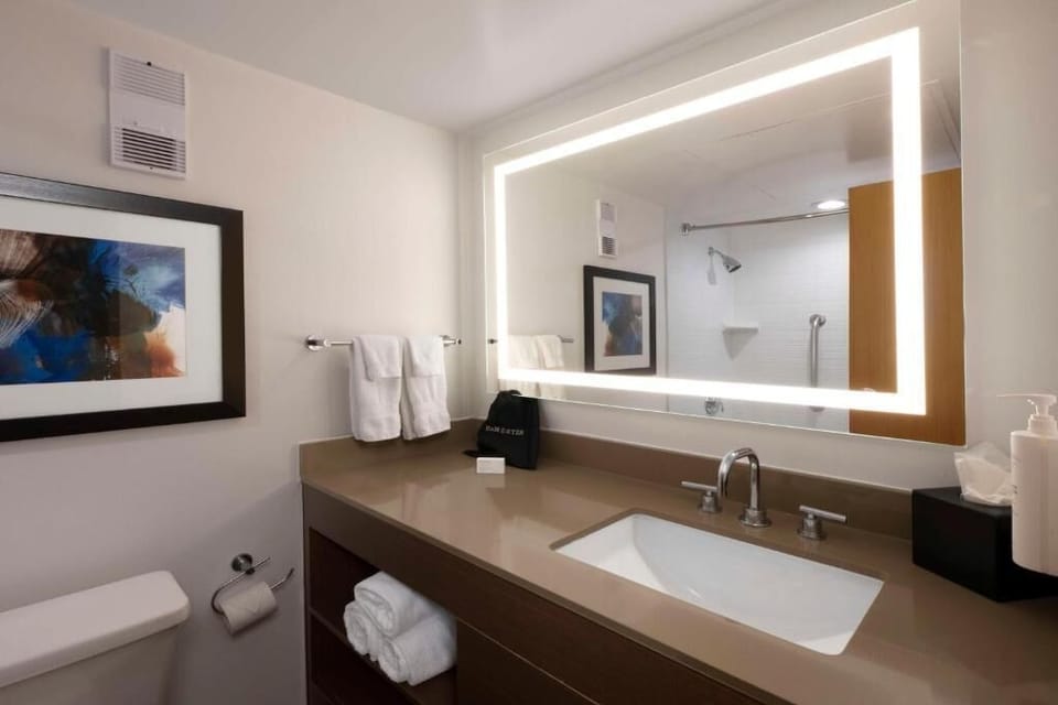 Bathtub, hair dryer, towels, soap