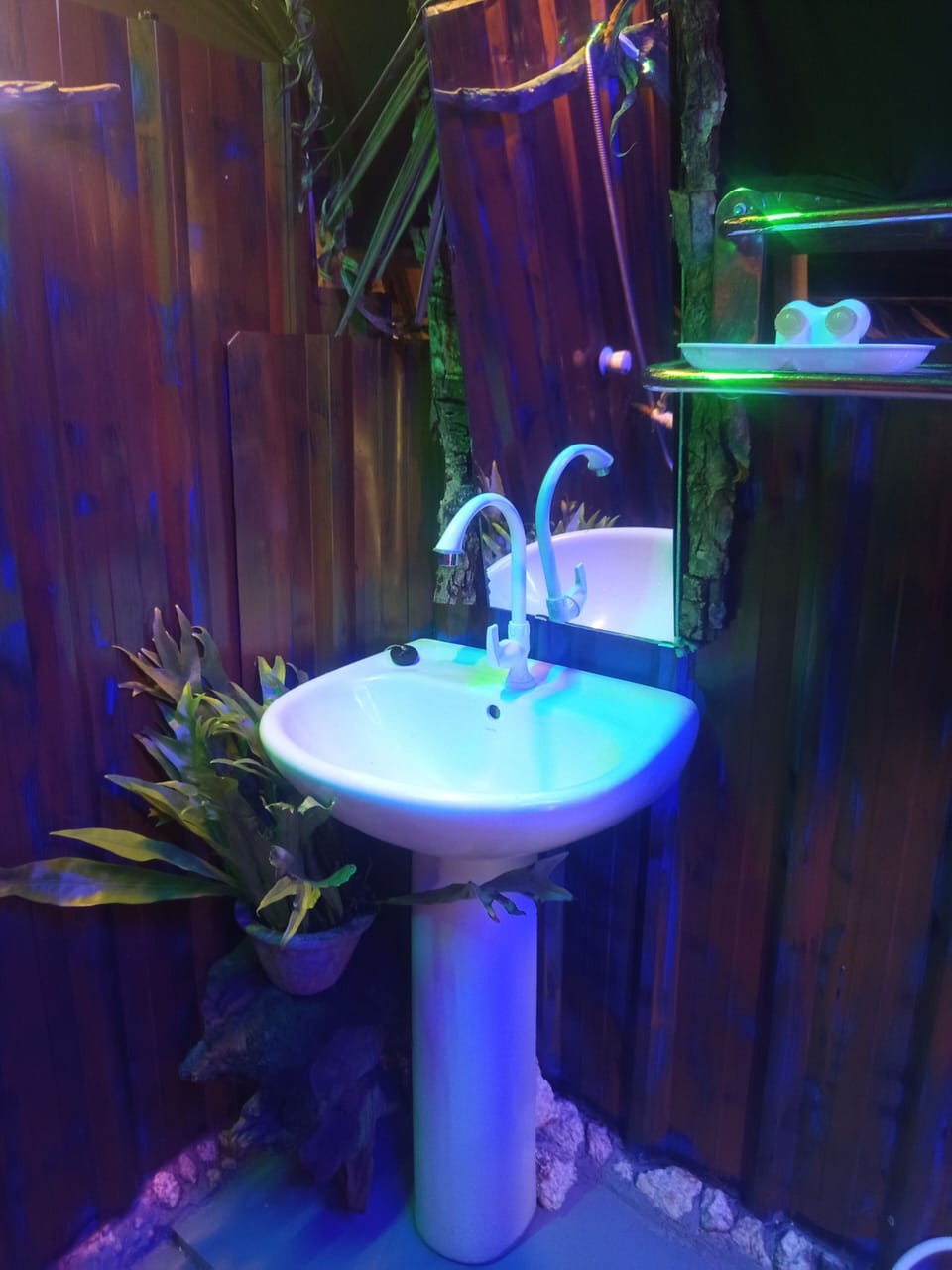 Family Tree House, Balcony, Garden View | Bathroom | Free toiletries, hair dryer, towels, soap