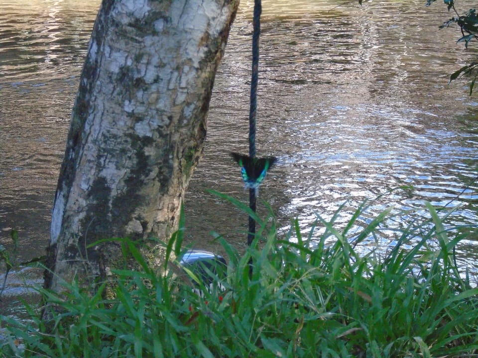 Lake