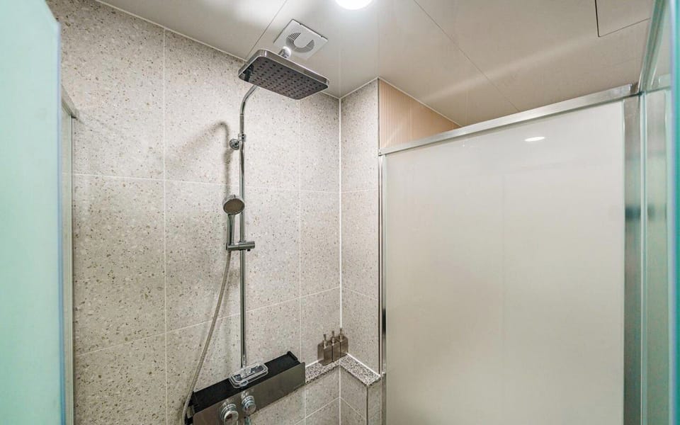 Hair dryer, towels, shampoo, toilet paper