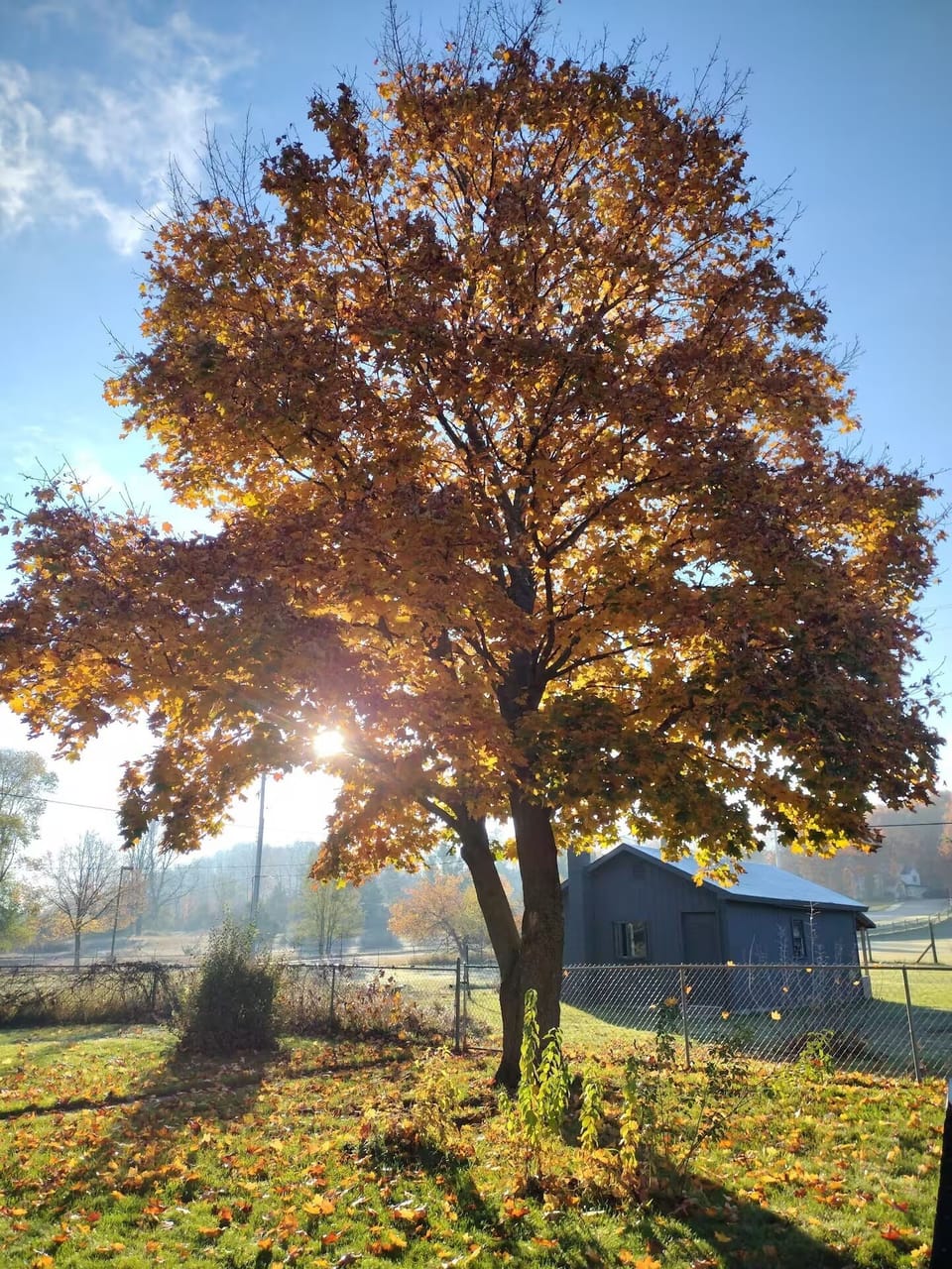 Miscellaneous
