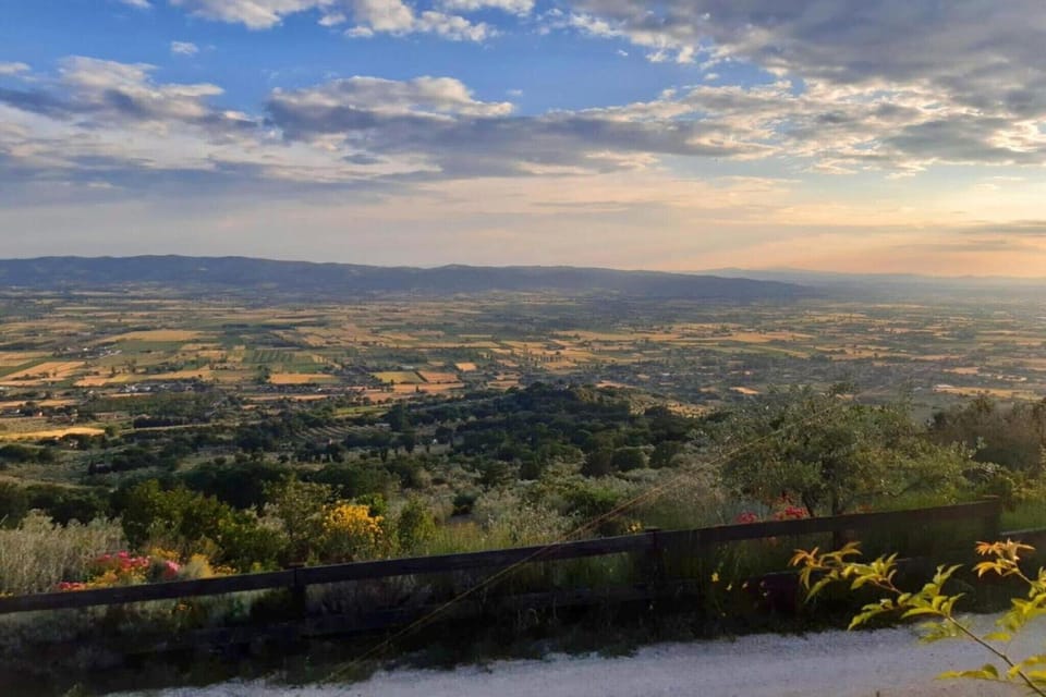 Region [summer] (>5 km)