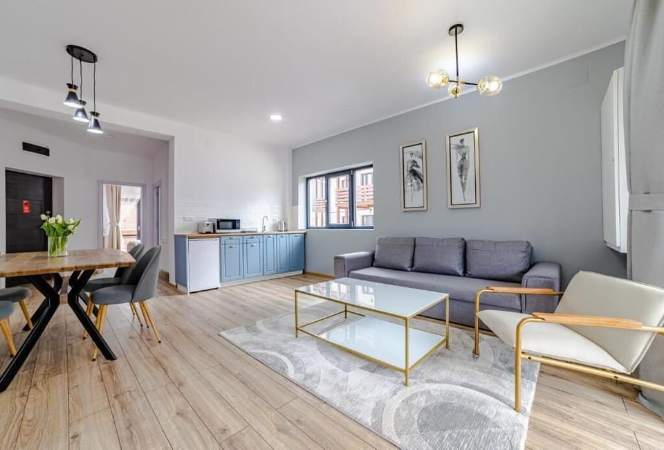 Apartment, 1 King Bed with Sofa bed, Kitchenette, Mountain View | Living area