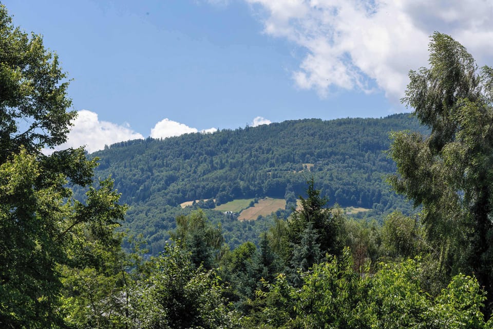 A stunning mountain landscape view displays rolling green hills stretching out under a bright blue sky filled with fluffy white clouds. Lush green treetops frame the bottom of the frame.