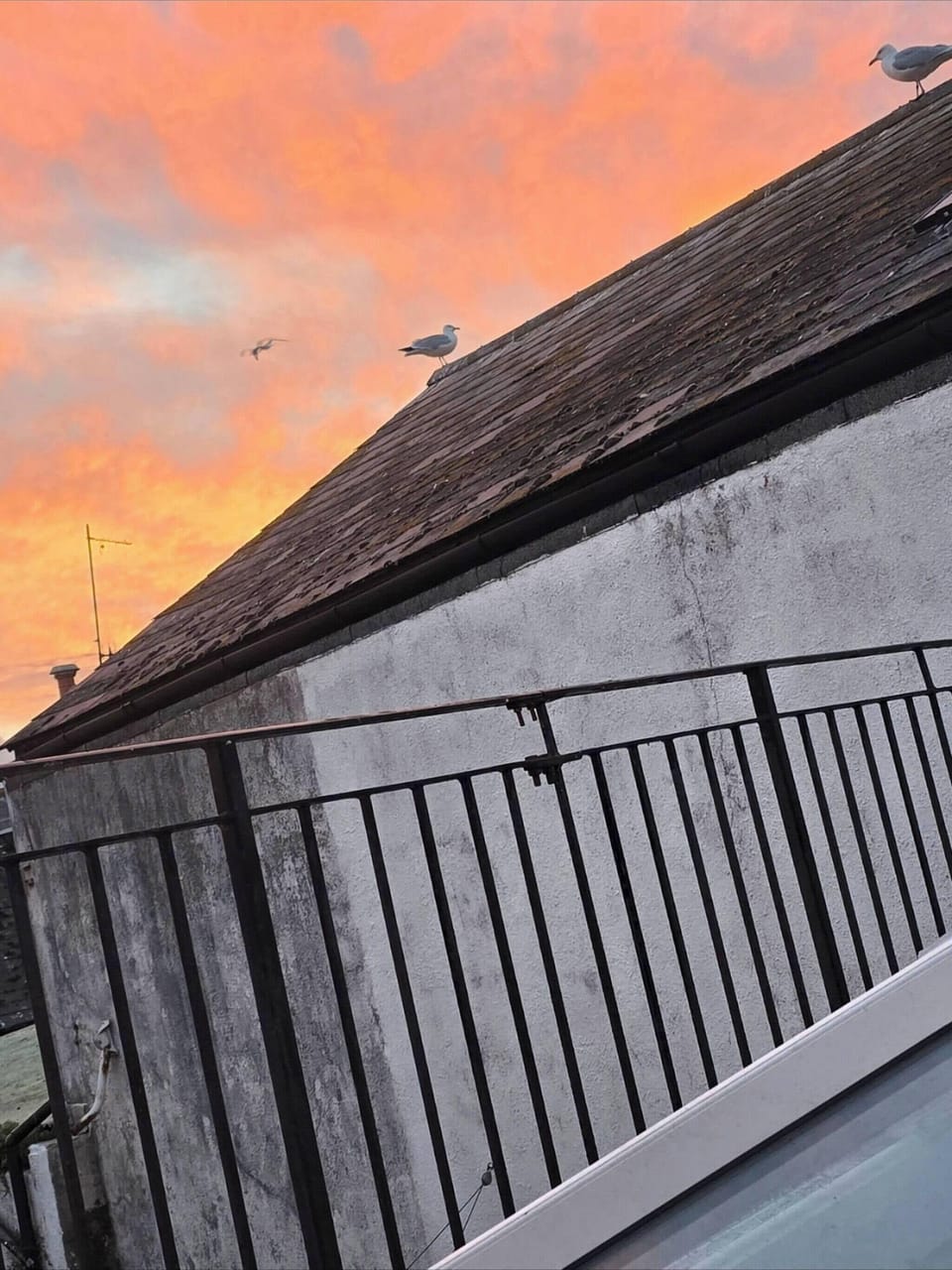 House, 2 Bedrooms, Patio | View from property