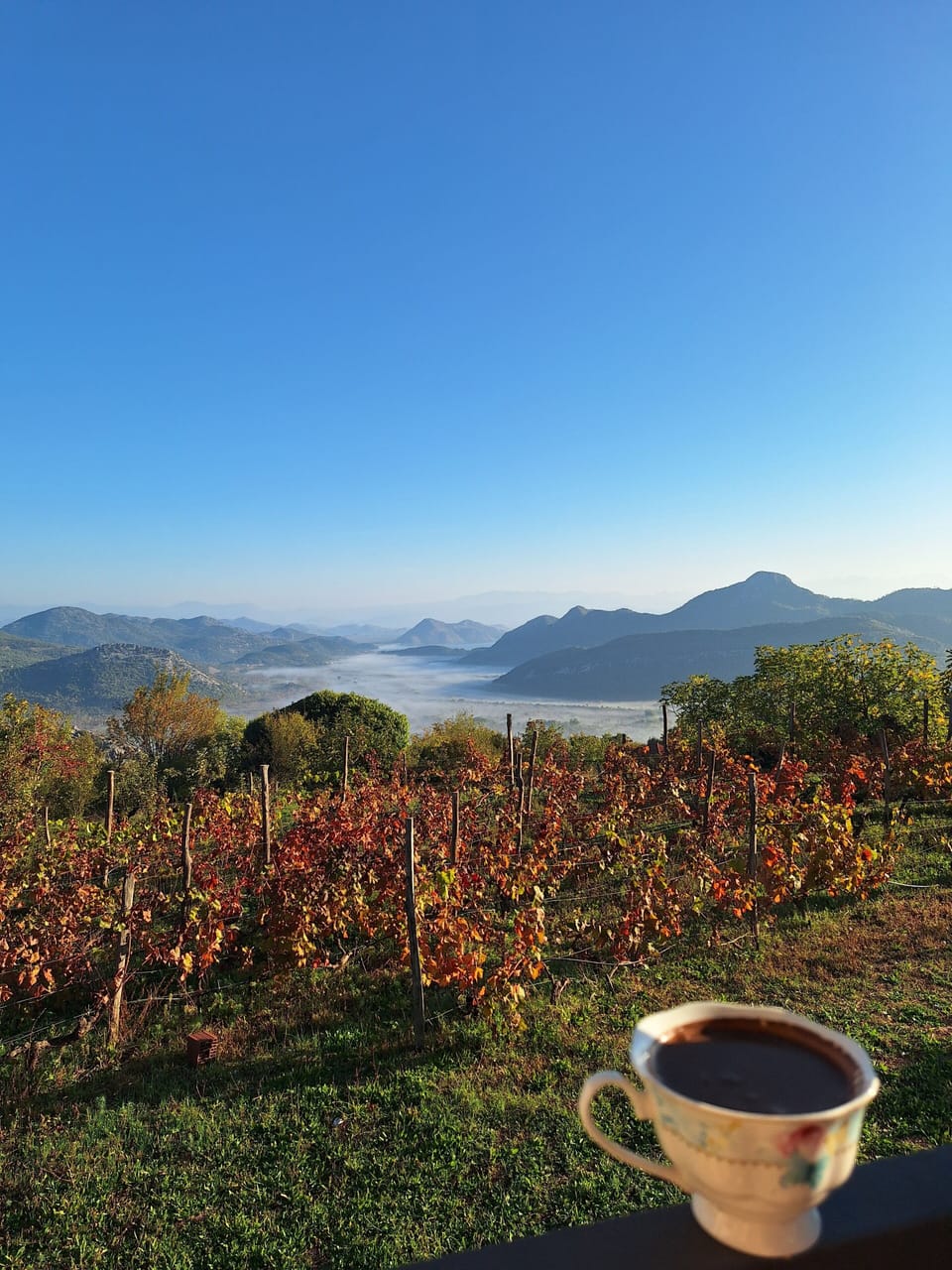 View from property