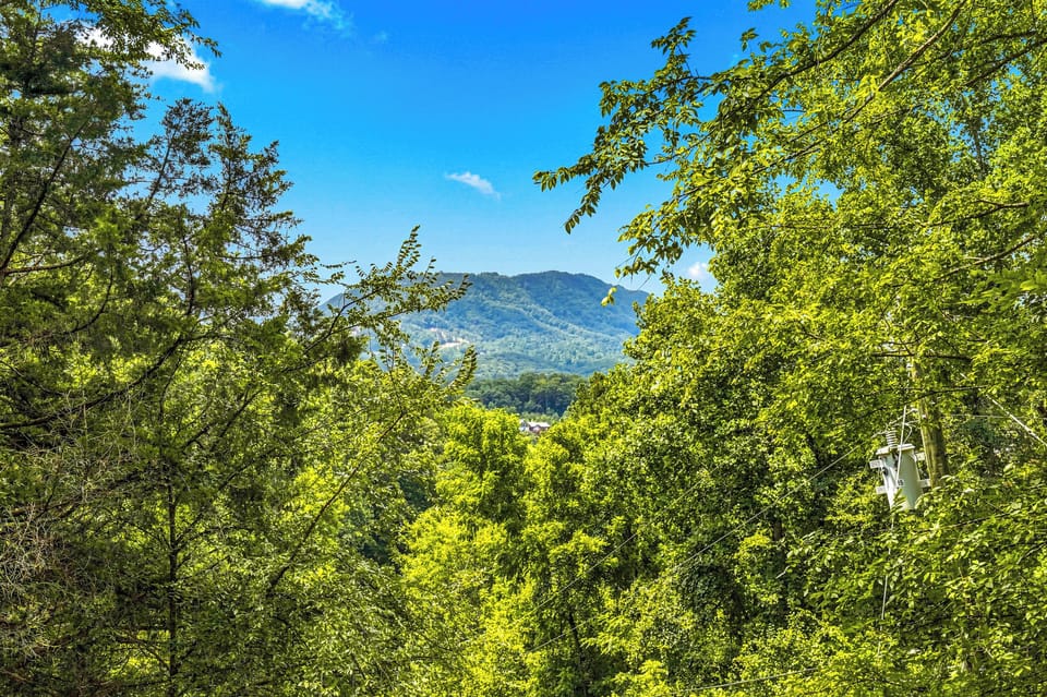 Smoky Mountain views peek through the trees from the deck