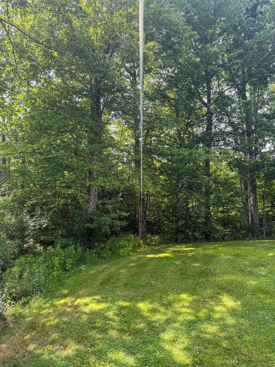 Keep your pets secure using the overhead dog tether run system located at the edge of the grassy backyard. This pet-friendly amenity features a long trolley cable line suspended between mature trees, right next to the open lawn play area.