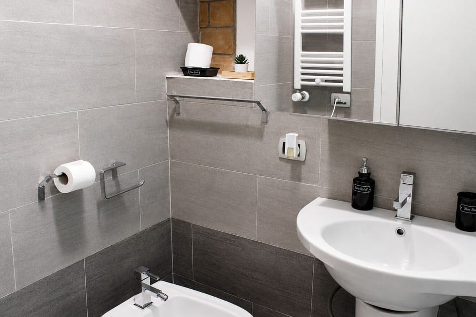 Deluxe Room, Non Smoking, Courtyard View | Bathroom | Hair dryer, towels, soap, toilet paper