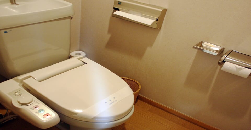 Combined shower/tub, free toiletries, hair dryer, slippers
