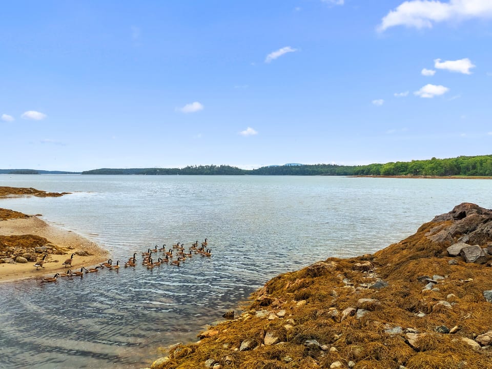 Lake