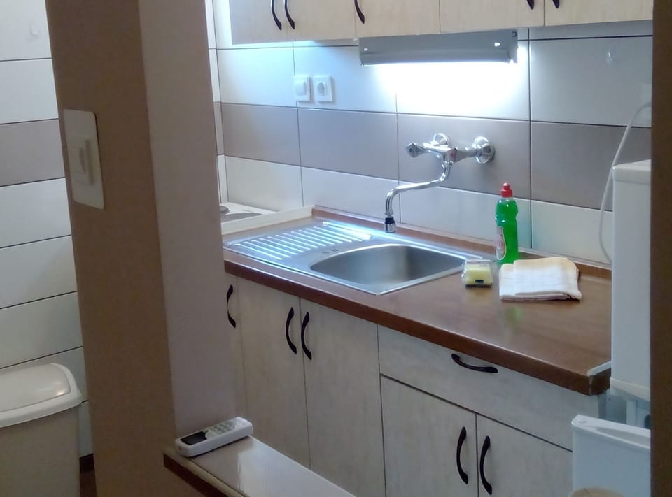 Apartment (Standard Apartman (A2)) | Private kitchen | Fridge