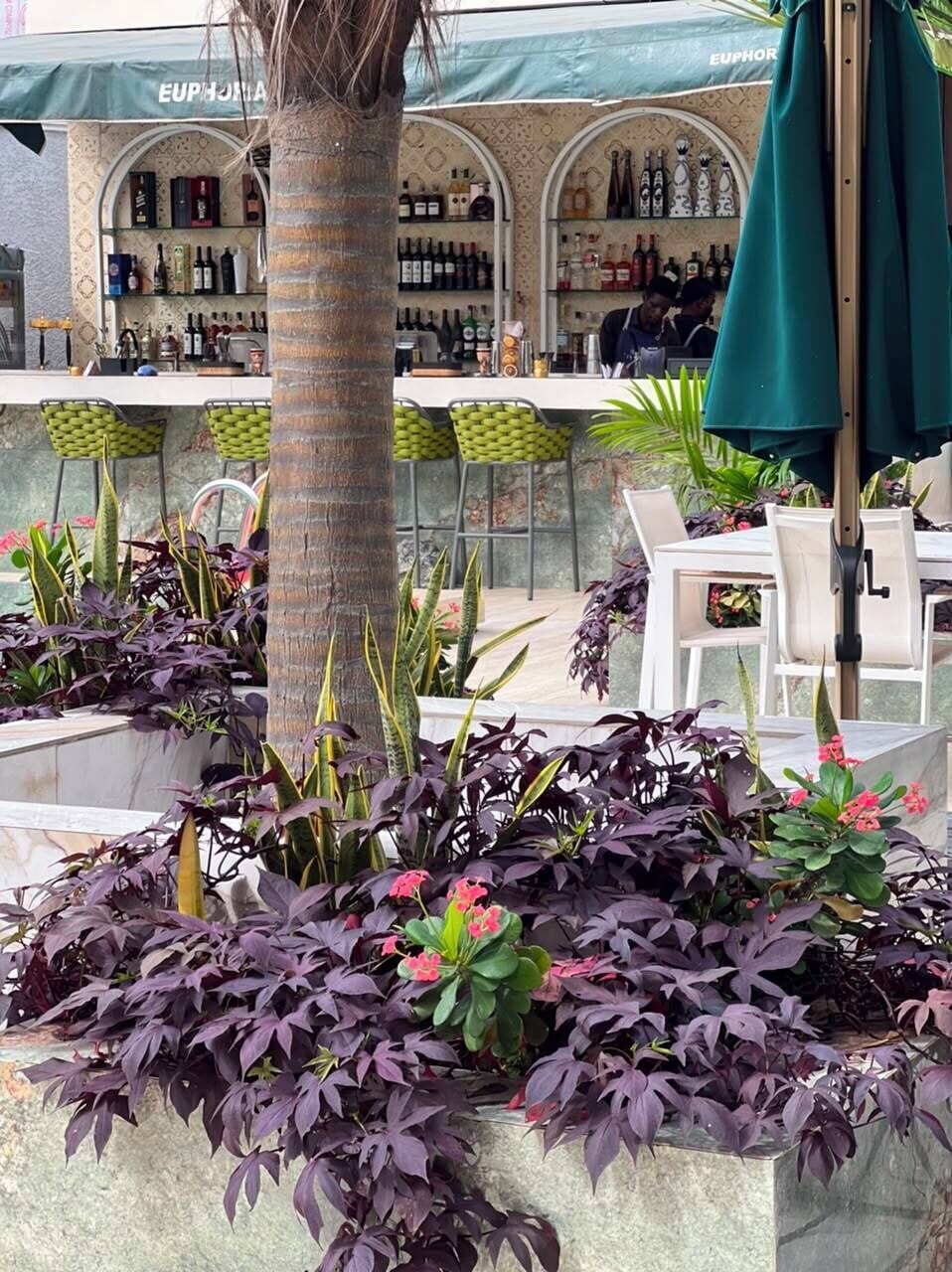 Poolside bar