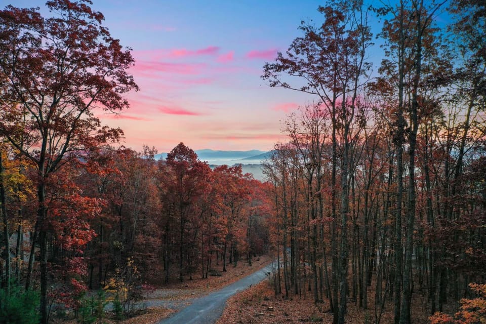 House | 3 bedrooms, high-speed internet