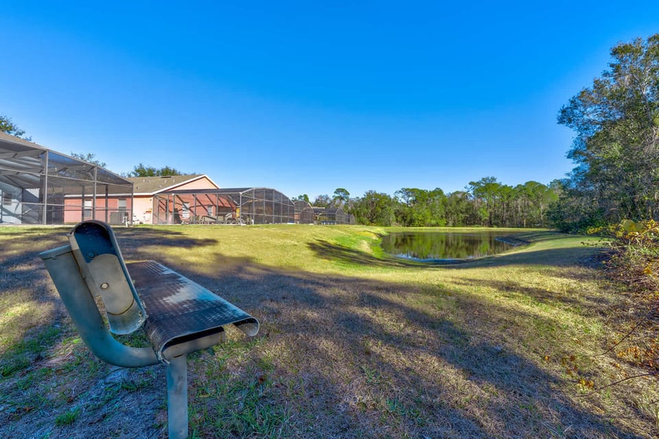 House | 5 bedrooms, high-speed internet