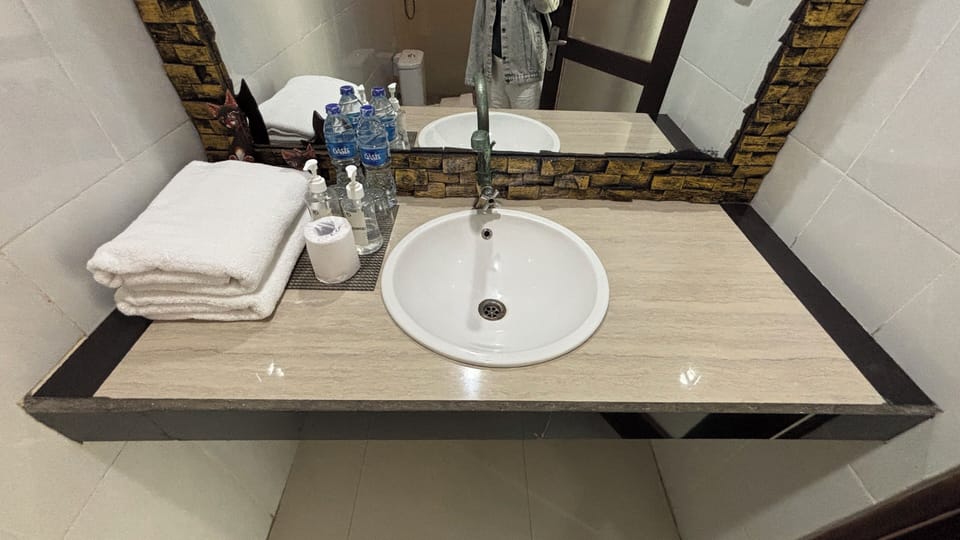 Deluxe Suite | Bathroom | Shower