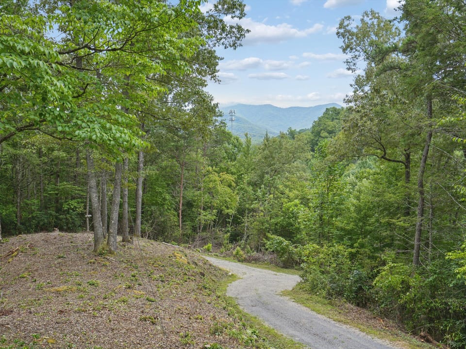 Wooded & Mountain Views Off The Deck!