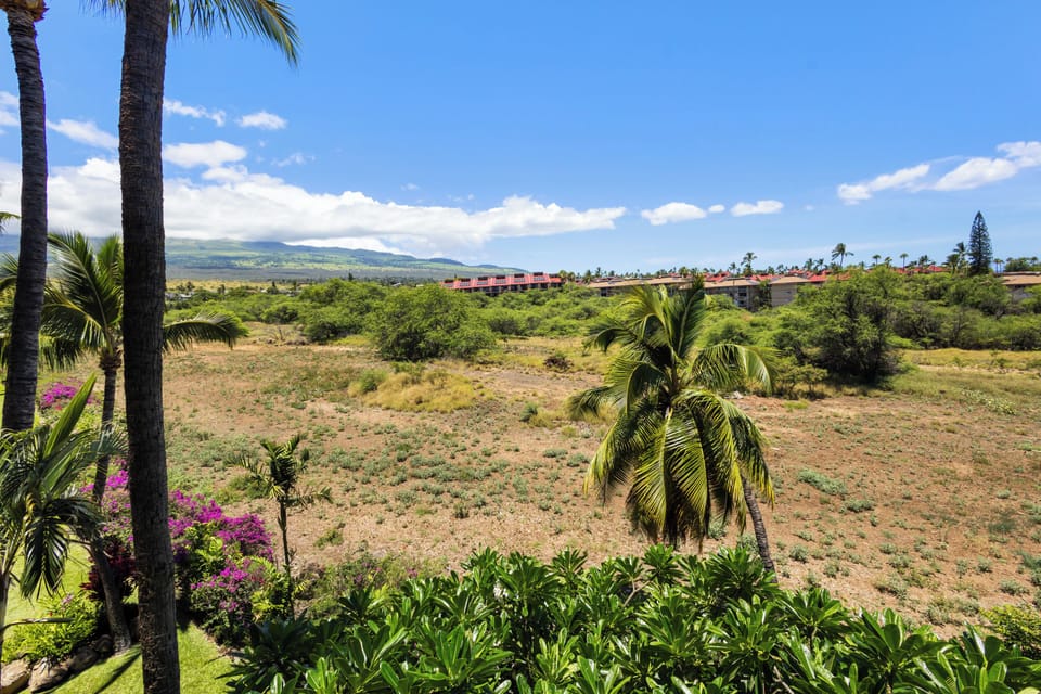 Sweeping vistas across lush tropical grounds with swaying palms and distant mountains framing the property—offering a peaceful island escape amidst vibrant natural beauty.