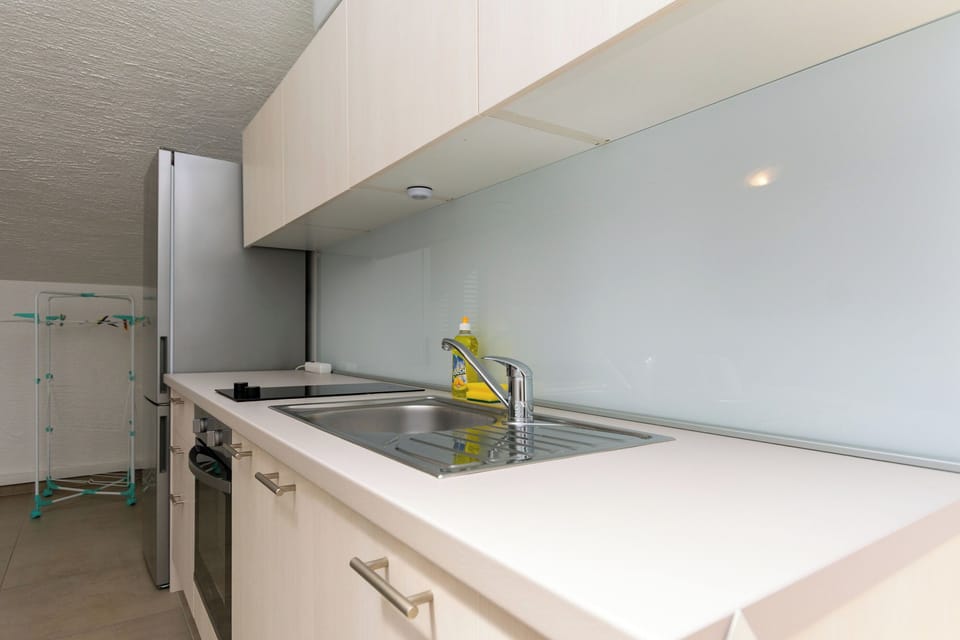 Apartment (A1) | Private kitchen | Fridge, oven, cookware/dishes/utensils, freezer