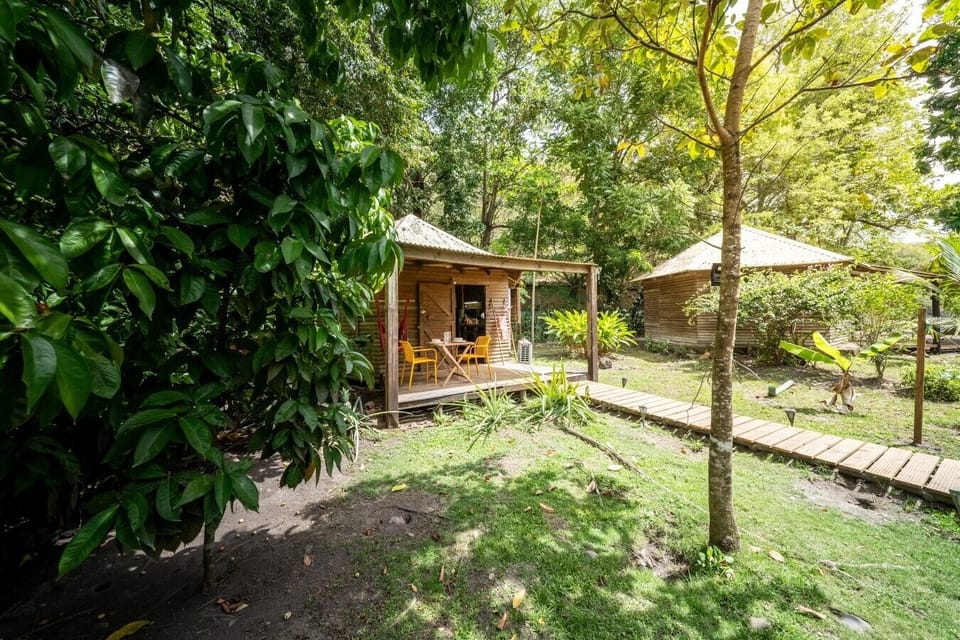 Bungalow Hibiscus