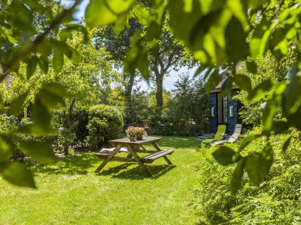 Garden [summer]
