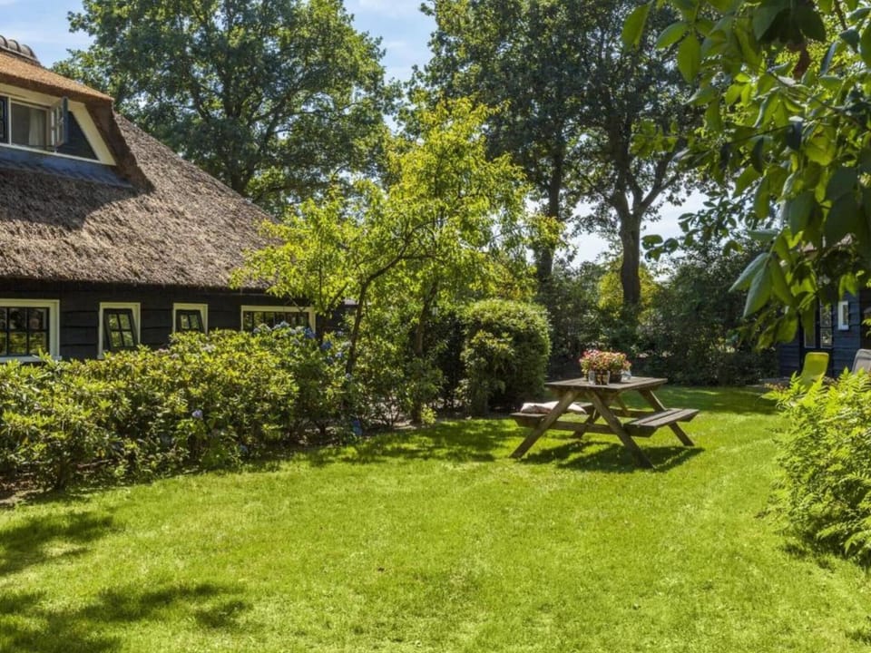 Garden [summer]