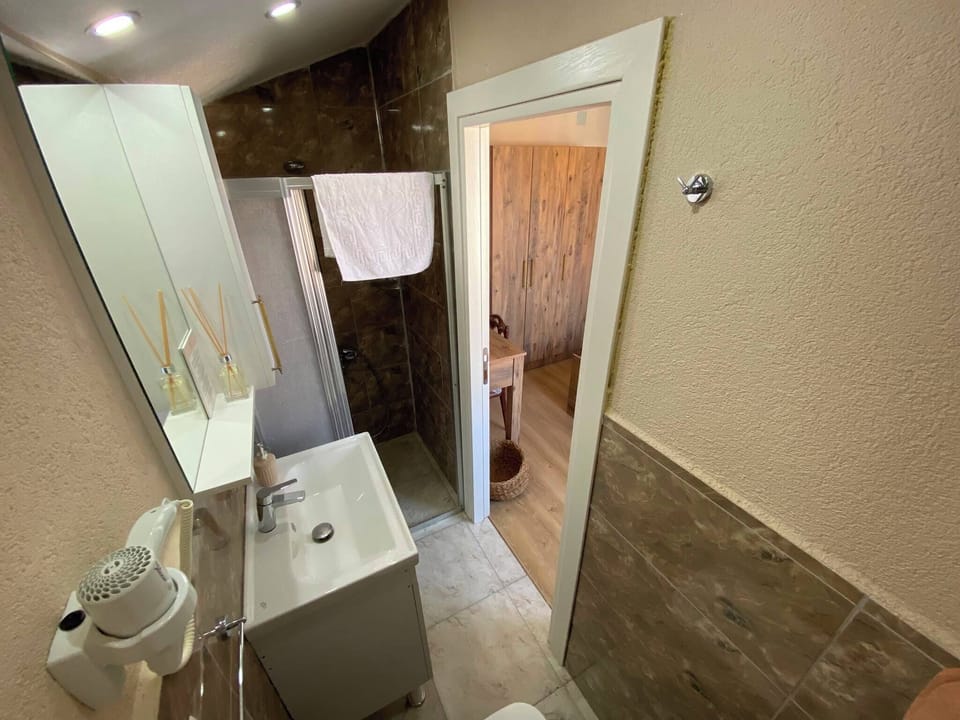 Classic Double Room | Bathroom | Shower, hair dryer, towels, soap