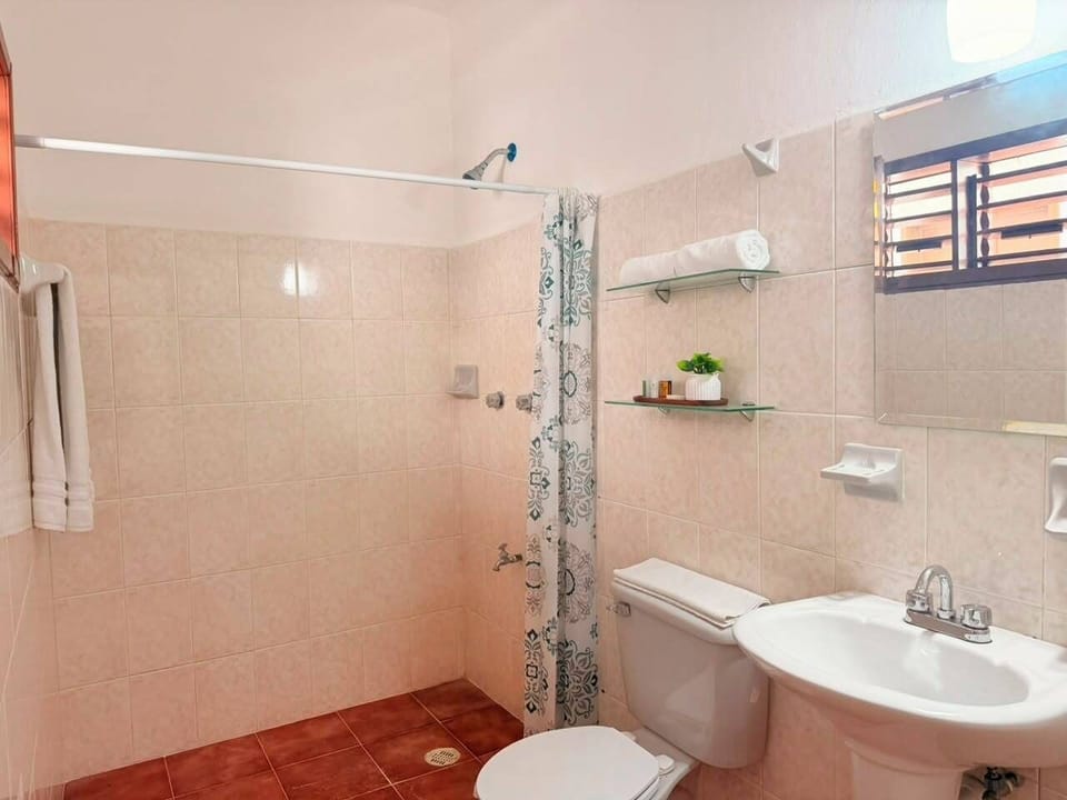 Standard Double Room | Bathroom | Shower, towels, soap, shampoo