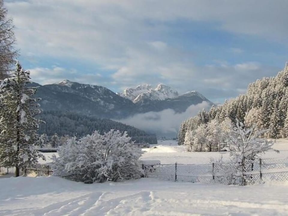 Region [winter] (>5 km)
