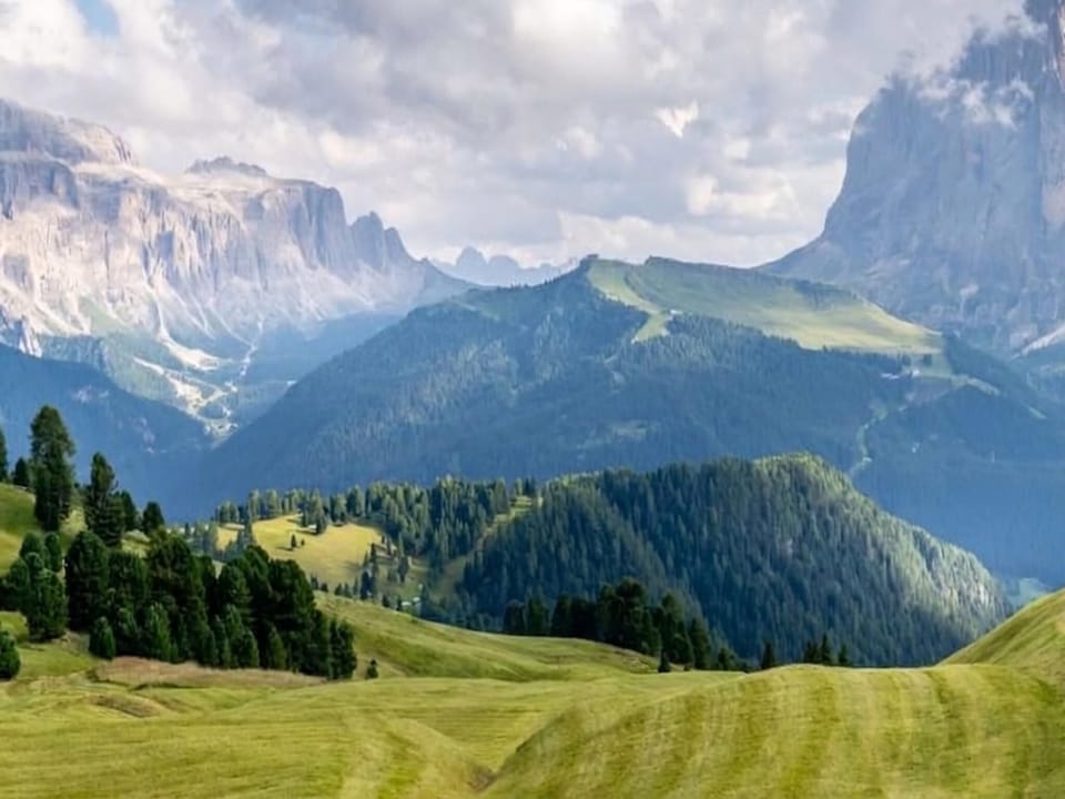 Region [summer] (>5 km)