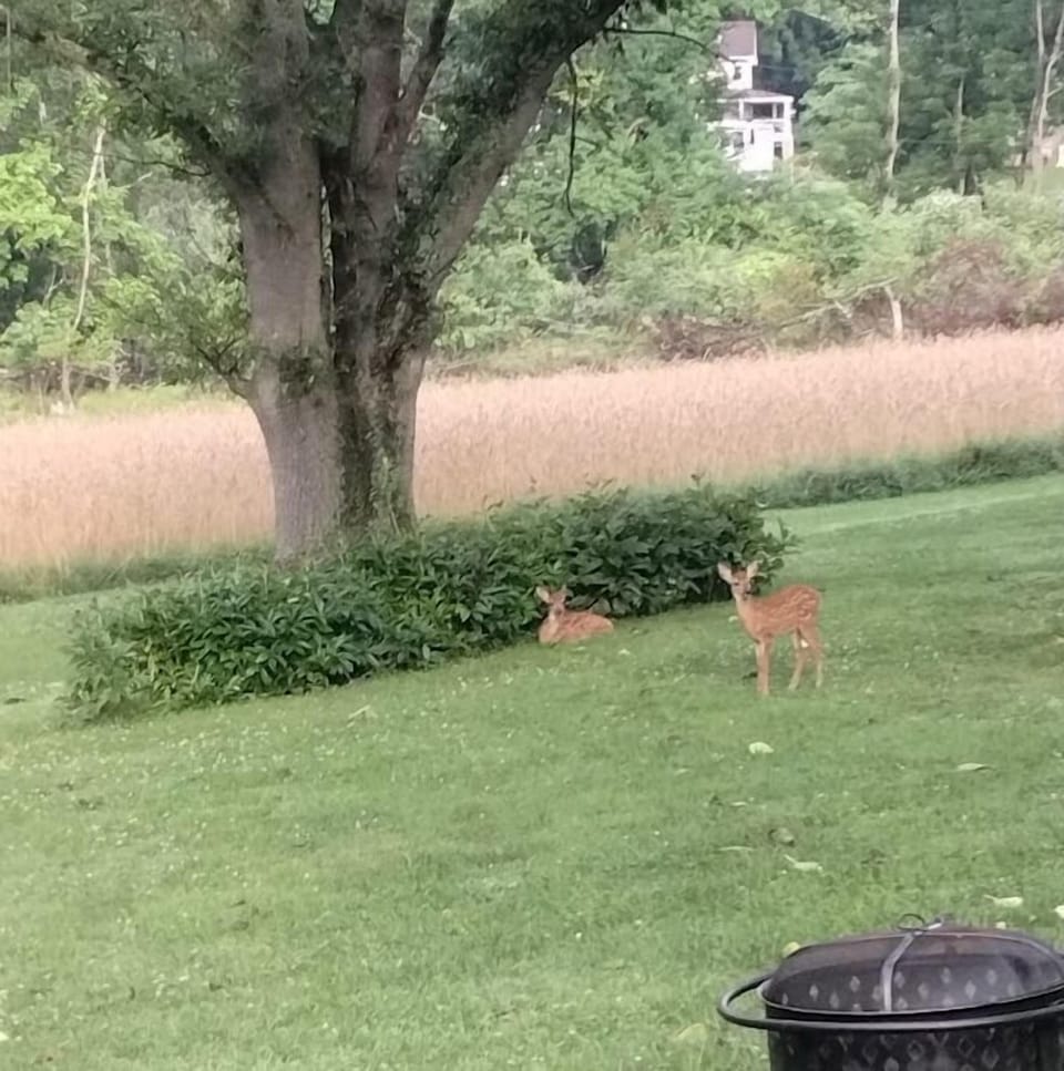 A quiet moment shared with some of our favorite local visitors